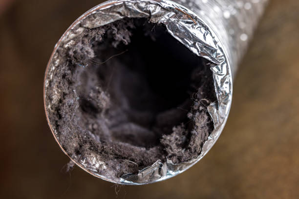 Reliable West Long Branch, NJ Airduct Cleaning Solutions